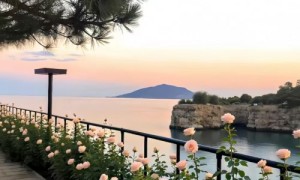 童年的光，是孩子一生的心理铠甲——东方心语