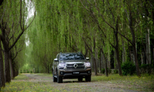 春风四月 踏青出游 长城乘用炮助你驭见最美春光